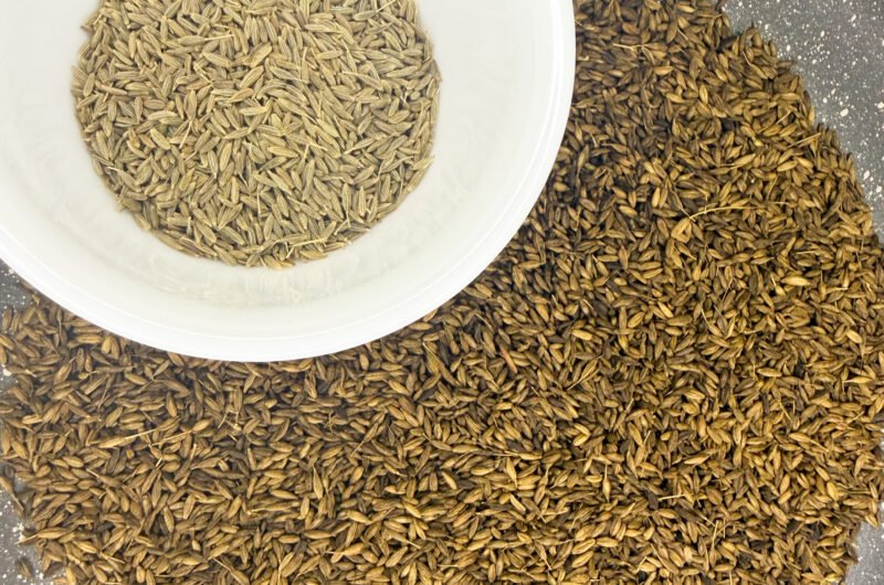 Unlocking the Flavor: The Secret of Bhuna Jeera (roasted cumin powder)